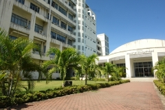 DSC03631