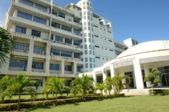 DSC03633